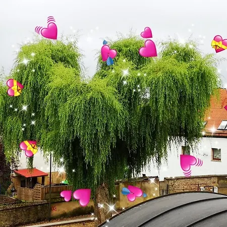 호텔 Landhotelullrich *